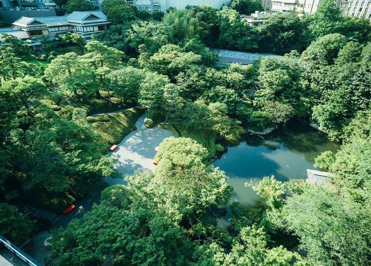 庭園